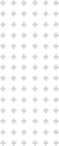 Pattern V 1 123x300 1